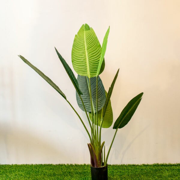 ABT502L (s) Banana Tree 120cm