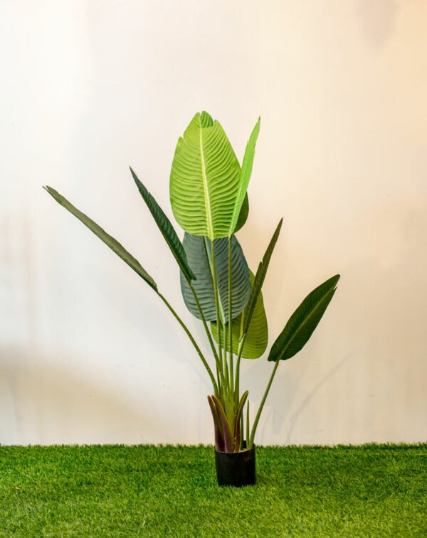 ABT502L (s) Banana Tree 120cm