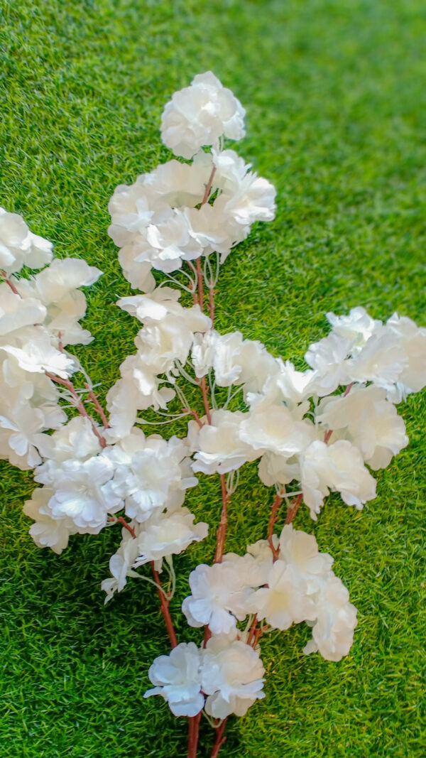 ACB101L Cherry Blossom White - Image 4