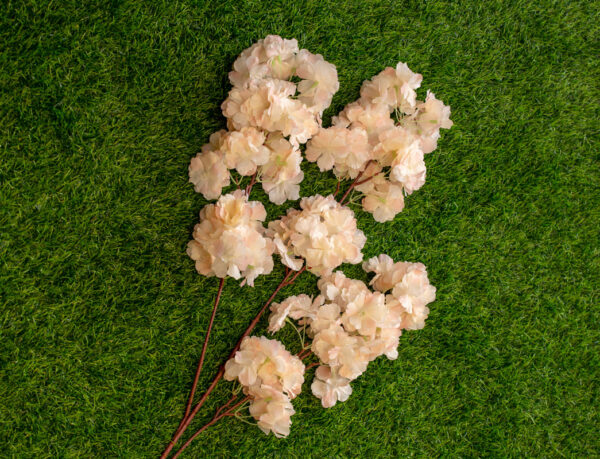 ACB303L Cherry Blossom Pink Peach
