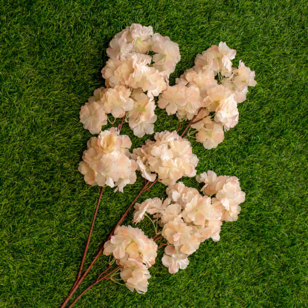 ACB303L Cherry Blossom Pink Peach