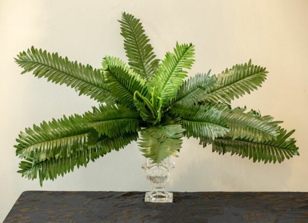 AFE502L Fern - Image 2