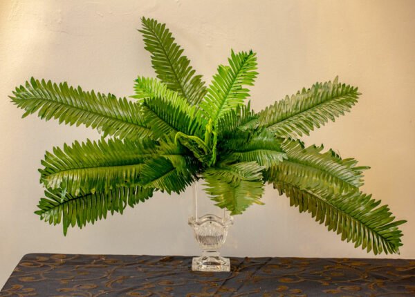 AFE502L Fern