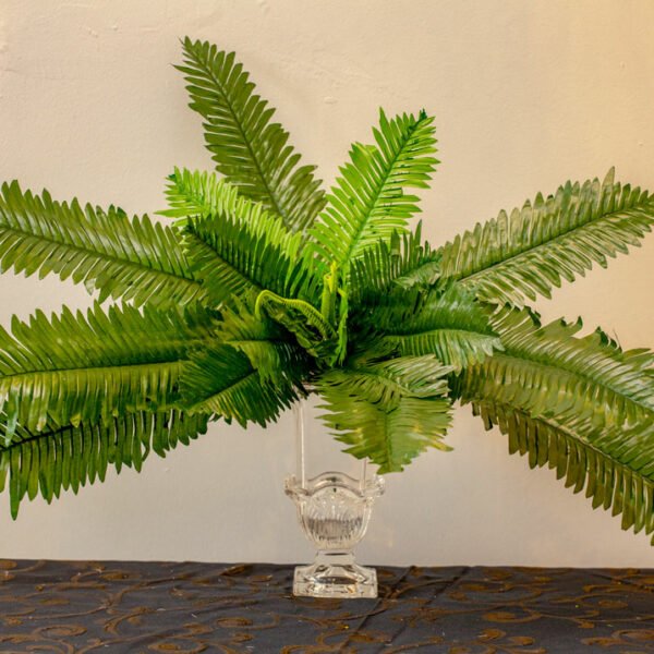 AFE502L Fern