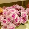 ARO603L Roses Light Purple - Image 2