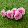 ARO603L Roses Light Purple