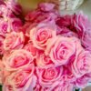 ARO302L Roses Pink - Image 2