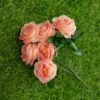 ARO304L Roses Pink Peach
