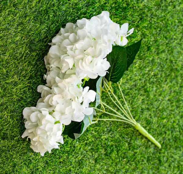 AHY101L Hydrangea White