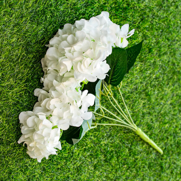 AHY101L Hydrangea White