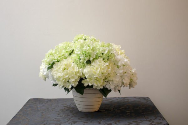 AHY105L Hydrangea White Blue - Image 3
