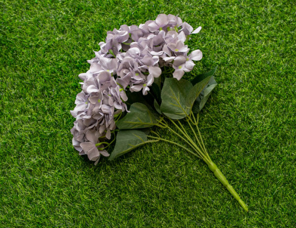 AHY201L Hydrangea Purple Grey