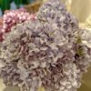 AHY201L Hydrangea Purple Grey - Image 2