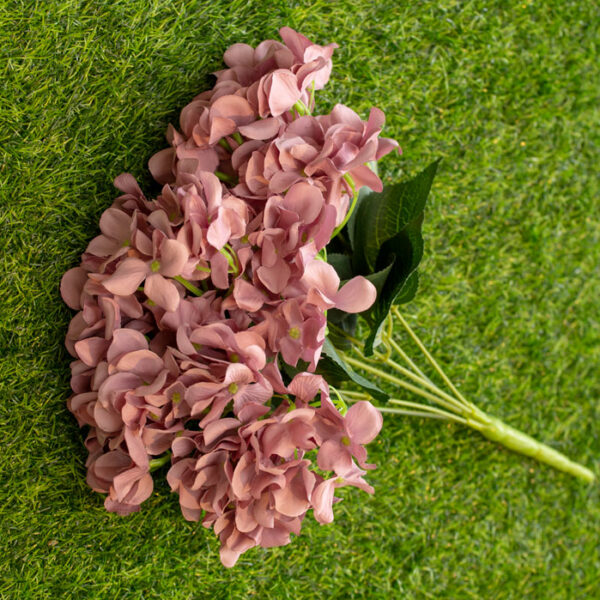 AHY603L Hydrangea Dusty Purple