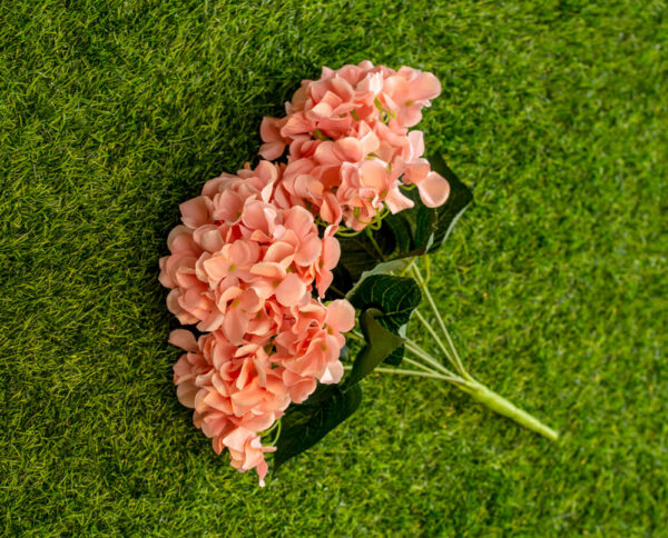 AHY401L Hydrangea Salmon Peach