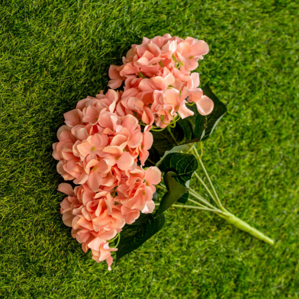 AHY401L Hydrangea Salmon Peach