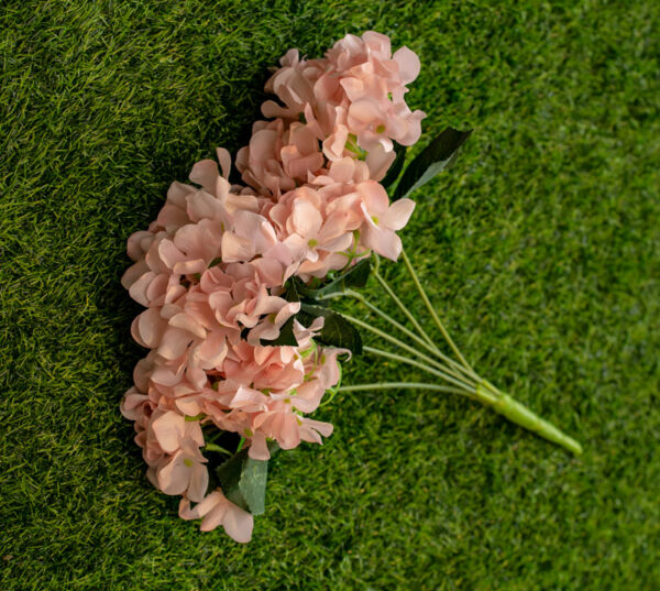 AHY402L Hydrangea Pink Peach