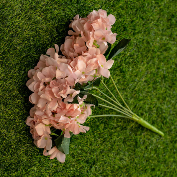 AHY402L Hydrangea Pink Peach