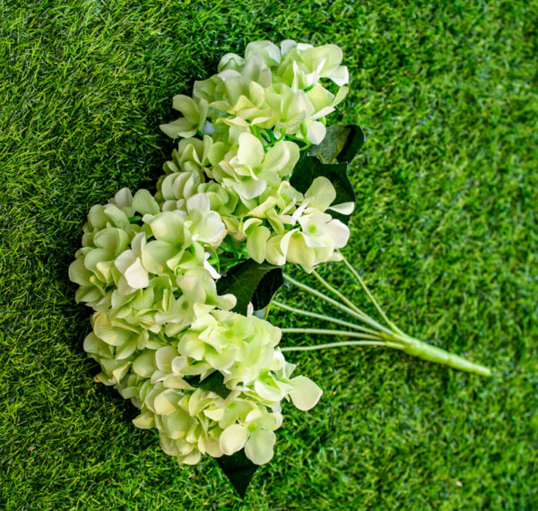 AHY503L Hydrangea Light Green