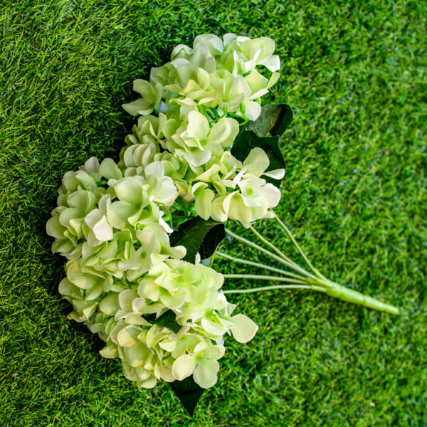 AHY503L Hydrangea Light Green