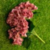 AHY601L Hydrangea Dusty Maroon - Image 4
