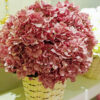AHY603L Hydrangea Dusty Purple - Image 5