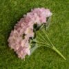 AHY302L Hydrangea White Purple