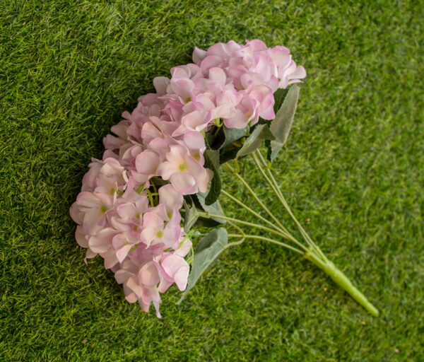 AHY302L Hydrangea White Purple