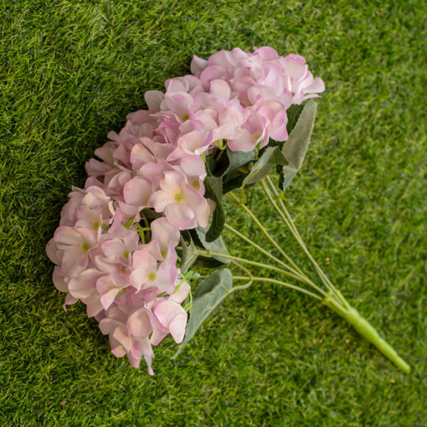 AHY302L Hydrangea White Purple