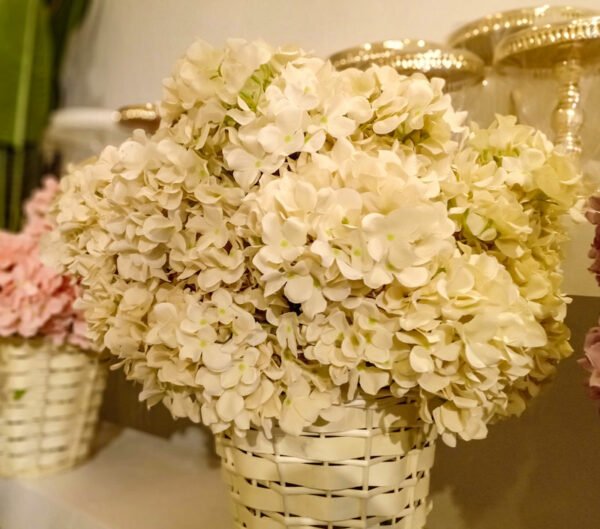 AHY702L Hydrangea Champagne - Image 3