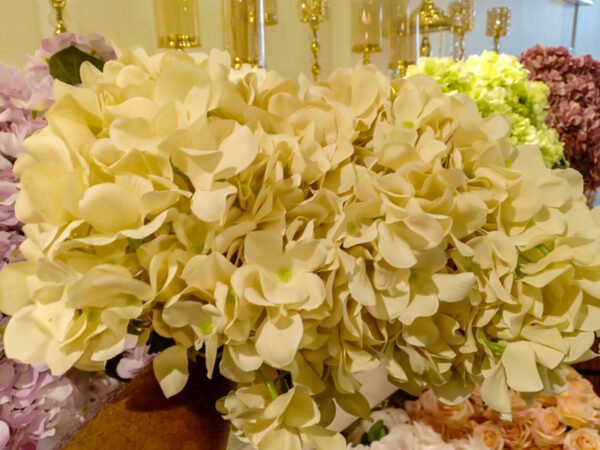 AHY702L Hydrangea Champagne - Image 2