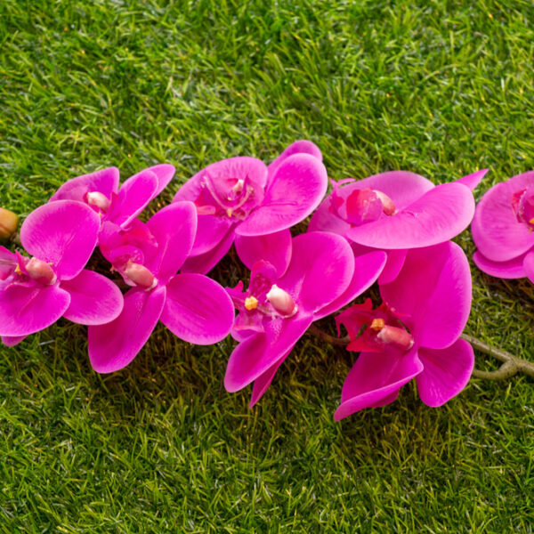 AOR602L Orchid Purple
