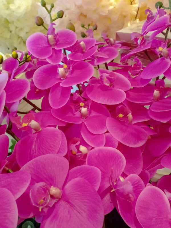 AOR602L Orchid Purple - Image 4