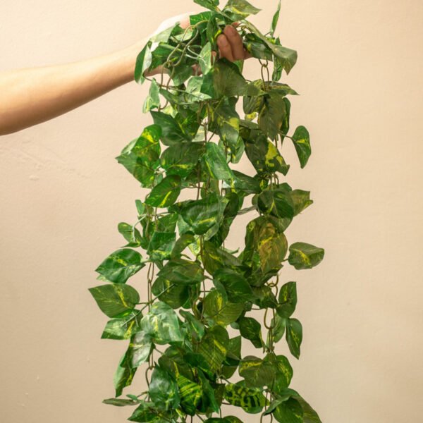 PG001 Pothos Garland
