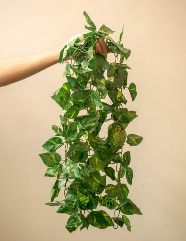 PG001 Pothos Garland