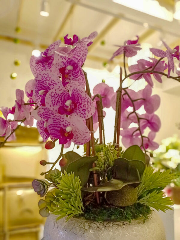 AOR603L Orchid Purple Polka Dot - Image 3