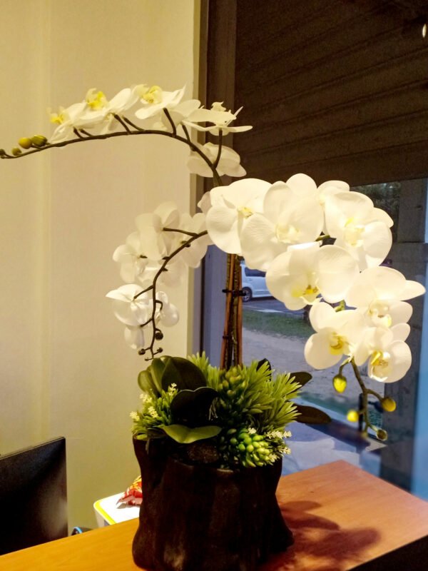 AOR101L Orchid White - Image 2