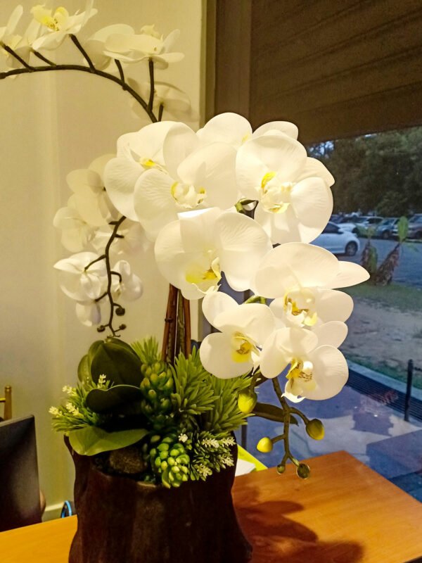 AOR101L Orchid White - Image 6
