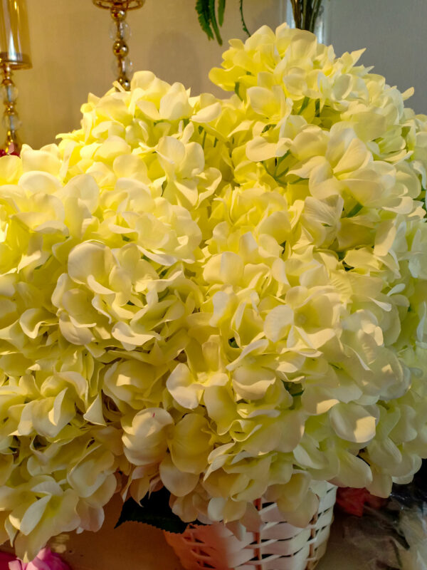 AHY803L Hydrangea Cream - Image 3