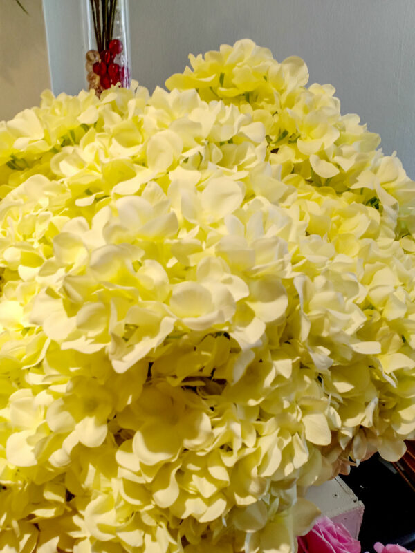 AHY803L Hydrangea Cream - Image 4