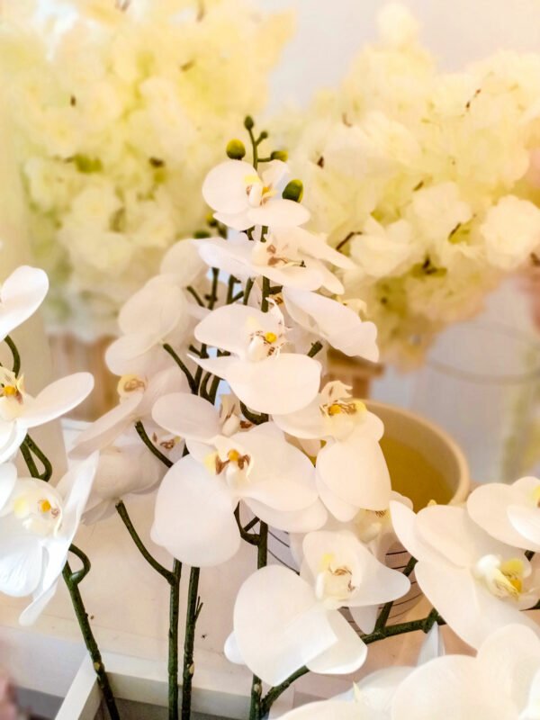 AOR101L Orchid White - Image 7