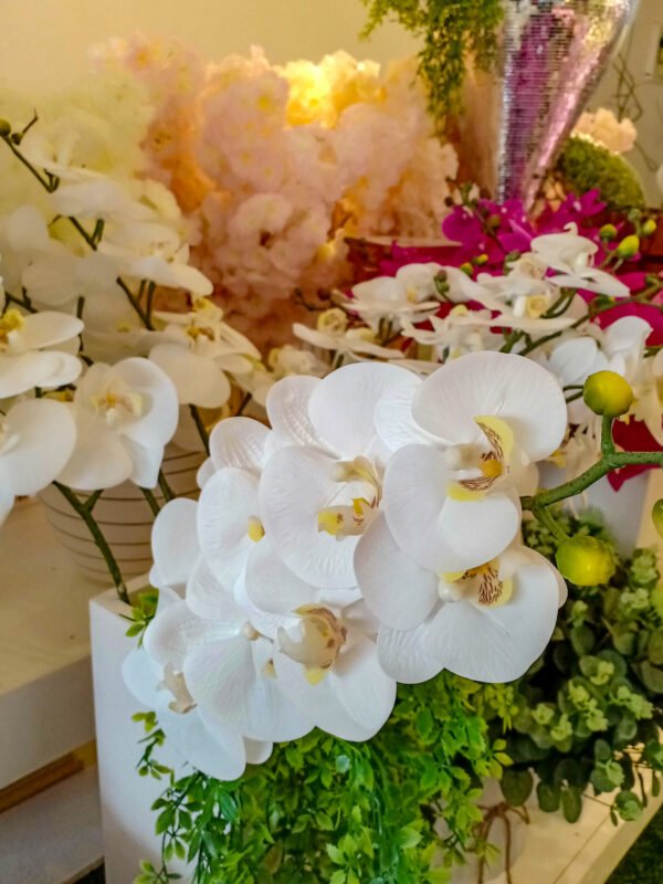 AOR101L Orchid White - Image 4