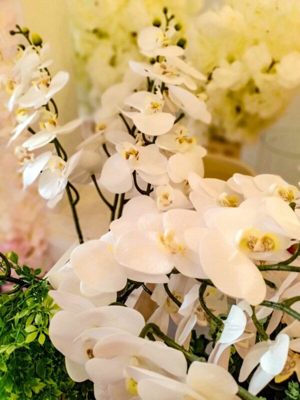 AOR101L Orchid White - Image 3