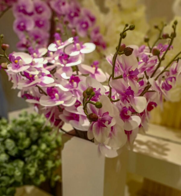 AOR104L Orchid White Purple - Image 3