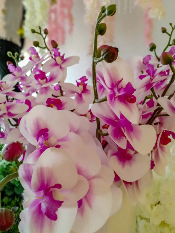 AOR104L Orchid White Purple - Image 4