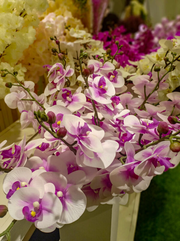AOR104L Orchid White Purple - Image 2
