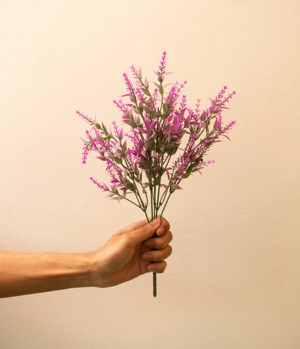 PLF001 Lavendar Flower Bush