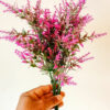 PLF001 Lavendar Flower Bush - Image 4