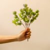 PLS001 Succulent Bush