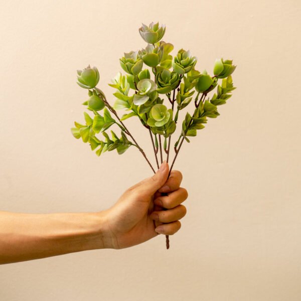 PLS001 Succulent Bush
